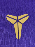 26-27 BAR Purple Player Version Training Vest (球员版)