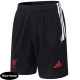 26-27 LIV Black Player Version Training Shorts Pants(球员短裤)