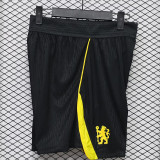 26-27 CHE Away Player Version Shorts Pants(球员短裤)