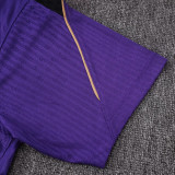 26-27 BAR Purple Player Version Training Short Suit (球员短套装)