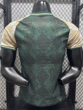 26-27 ARS Green Special Edition Player Version Training Shirts