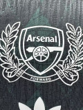 26-27 ARS Green Special Edition Player Version Training Shirts