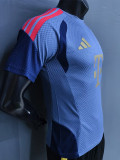 26-27 Bayern Grey ‌Player Version Training Shirts