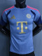 26-27 Bayern Grey ‌Player Version Training Shirts