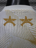 26-27 PSG White Gold Player Version Training shirts