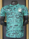 26-27 Ivory Coast Green Special Edition Player Version Training Shirts