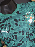 26-27 Ivory Coast Green Special Edition Player Version Training Shirts
