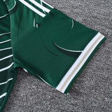 26-27 LIV Dark green Training Short Suit