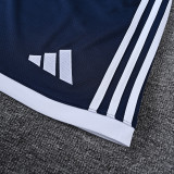 26-27 LIV Royal blue Training Short Suit