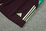 24-25 Mexico Maroon Tank top and shorts suit