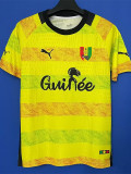 24-25 Guinea Yellow Fans Training shirts