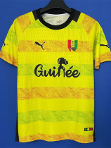 24-25 Guinea Yellow Fans Training shirts
