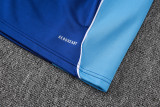 2025 AD Fancy blue Jacket Tracksuit #C2502