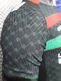 25-26 Deportivo Palestino Away Player Version Soccer Jersey