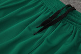 24-25 Palmeiras Green Tank top and shorts suit