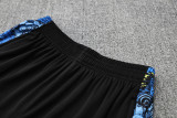 25-26 Brazil Blue Training Short Suit