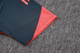 25-26 Bayern Dark gray Training Short Suit #D25169