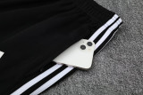 2025 AD Lake blue Jacket Tracksuit #2315