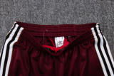 25-26 Ajax Jujube red Kids Jacket Tracksuit #E2538(童装)