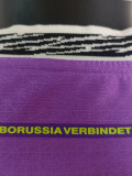 24-25 Dortmund Purple Special Edition Player Version Soccer Jersey