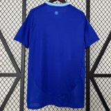 24-25 Argentina Away Fans Soccer Jersey #FWCC