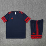 2025 AD10 Royal blue Training Short Suit