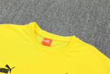 25-26 Dortmund Yellow Training Short Suit