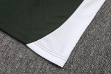 25-26 Bayern Army green Polo Tracksuit #C2533