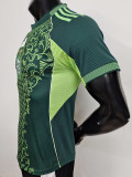 25-26 Algeria Green Player Version Training shirts #A37