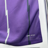 25-26 Raptors McGRADY #1 Purple Retro Top Quality Hot Pressing NBA Jersey