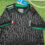 25-26 Mexico Black Kids Training (三色叶)