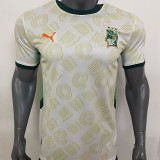 24-25 Ivory Coast Away Fans Soccer Jersey