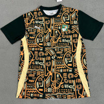24-25 Ivory Coast Green Yellow Fans Training shirts