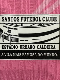 24-25 Santos FC Pink Special Edition Player Version Training Shirts