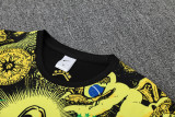 25-26 Brazil Yellow Training Short Suit