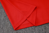 25-26 Flamengo Red Polo Tracksuit #C2517