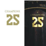 2025 PSG Grey Red Champion Player Version Training shirts