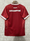 24-25 Wales Home Rugby Jersey