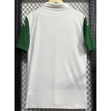 25-26 Palmeiras Away 1:1 Fans Soccer Jersey