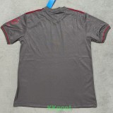 24-25 Bayern Grey 125th Anniversary Fans Soccer Jersey (灰色)