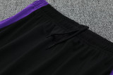 25-26 Germany Purple Polo Tracksuit