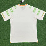 25-26 Celtic Third Fans Soccer Jersey
