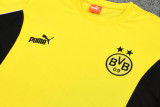 25-26 Dortmund Yellow Training Short Suit