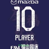 25-26 Sanfrecce Hiroshima Home Fans Soccer Jersey 广岛三箭