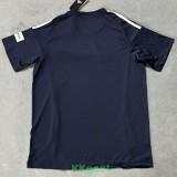 25-26 Japan Royal Blue Special Edition Fans Soccer Jersey (宝蓝)