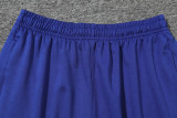 25-26 Brazil Fancy blue Polo Tracksuit