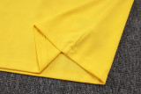 25-26 Brazil Yellow Half Pull Tracksuit (半拉链)