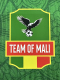 25-26 Mali Green Player Version Soccer Jersey