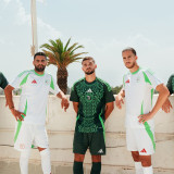 24-25 Algeria Home 2 Stars Fans Soccer Jersey (带二星)
