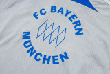 25-26 Bayern Grey Training Short Suit #D25128